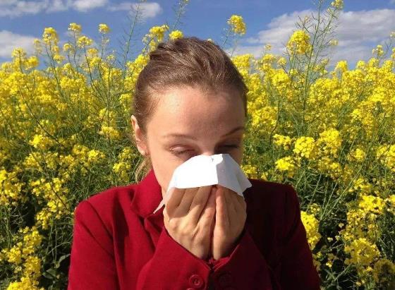 为什么会花粉过敏？花粉过敏有哪些症状？