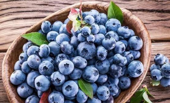 蓝莓有什么功效与作用？吃蓝莓需要注意什么？