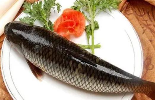 草鱼鱼油有什么功效与作用？草鱼鱼油怎么做好吃？