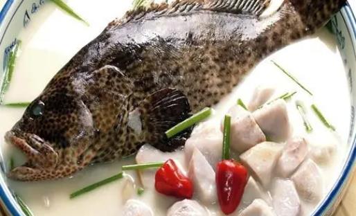 吃石斑鱼有哪些功效？吃石斑鱼的禁忌有什么？
