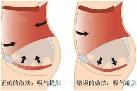 西安东大肛肠医院揭秘：一项神奇的运动保护你的小菊花