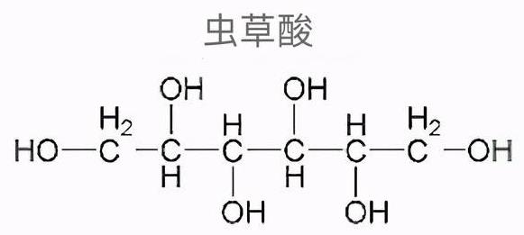 冬虫夏草的形成生长过程图片 冬虫夏草为什么卖这么贵