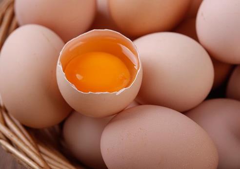 无菌鸡蛋是怎么产生的？无菌蛋是怎么做到无菌的