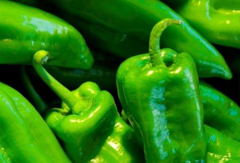 青椒有哪些功效与作用？吃青椒会上火吗？