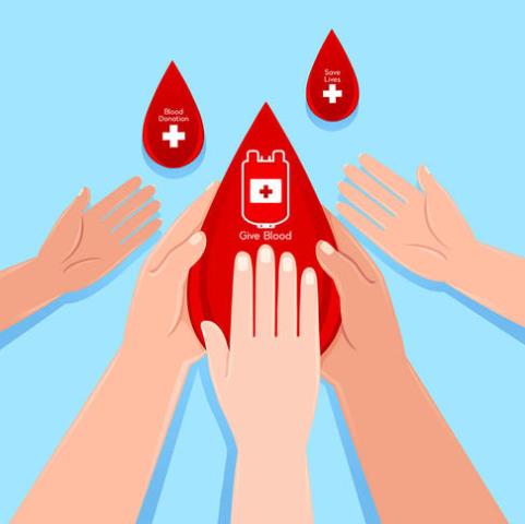 女生献血400毫升会很多吗？献血最多可以献多少？