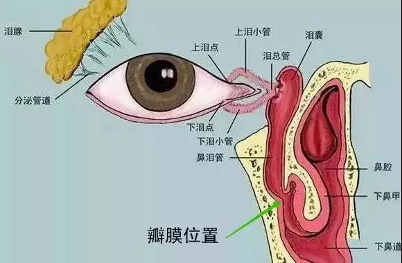 合肥爱尔眼科：什么是泪道疾病？如何预防