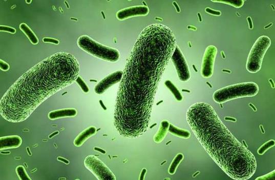 乳酸菌和益生菌有啥区别？补充益生菌有什么用