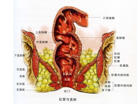 武汉马应龙肛肠医院看直肠溃疡好吗 效果如何呢