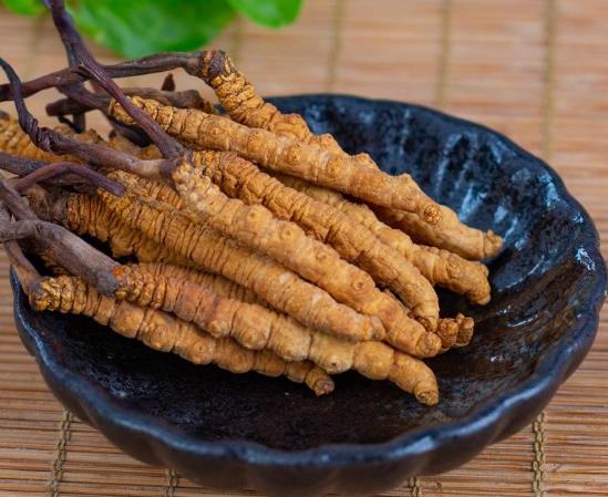 什么时候买新鲜虫草比较好？吃冬虫夏草有什么功效