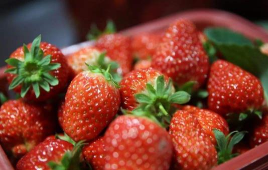 草莓吃不完可以做什么？草莓怎样清洗最干净