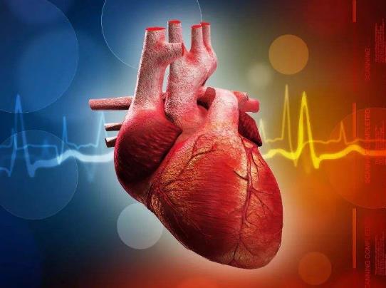 心脏病影响办健康证吗？心脏彩超能检查出什么毛病