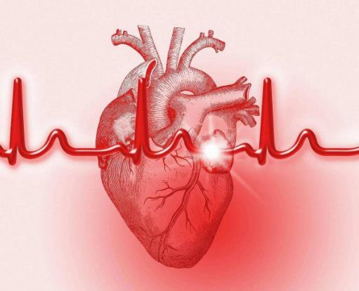 心律失常猝死的前兆是什么？哪些疾病能引起胸闷气短呢