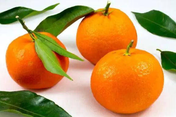 怎么挑橘子？橘子变软了可以吃吗？