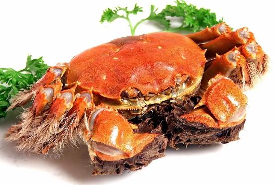 螃蟹的营养价值有哪些？螃蟹的功效有哪些？