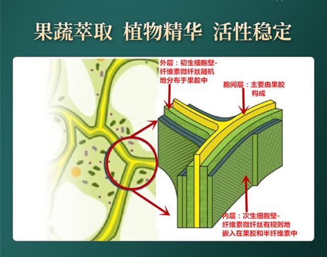 常青通超微化果蔬膳食纤维中国发明专利