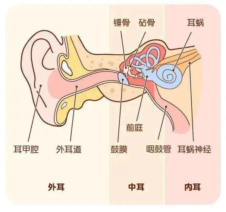 成都民生耳鼻喉医院怎么样 突发性耳聋能治好吗 国家三级医院