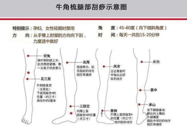 刮痧瘦腿有效吗 经脉疏通促进血液循环排毒