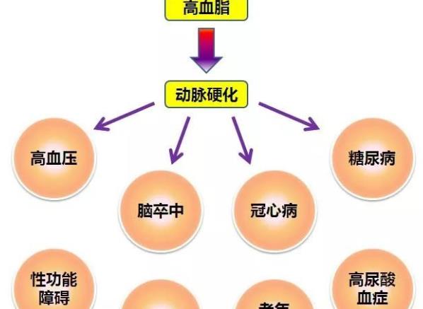 高血脂怎么调理 加强锻炼减肥少吃甜食脂肪