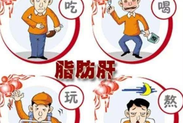 脂肪肝是什么意思 肝细胞内脂肪堆积过多代谢病变