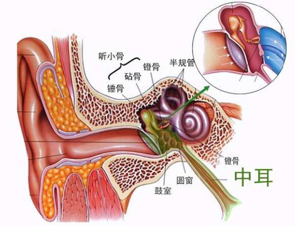 中耳炎会自愈吗 足量正规足疗程诊治