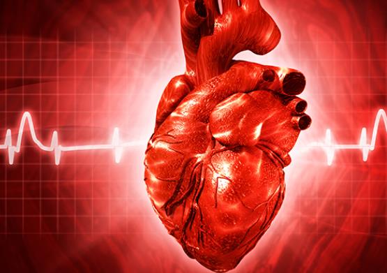 肺源性心脏病的症状有哪些 心肺衰竭咳嗽呼吸困难呼吸音减弱