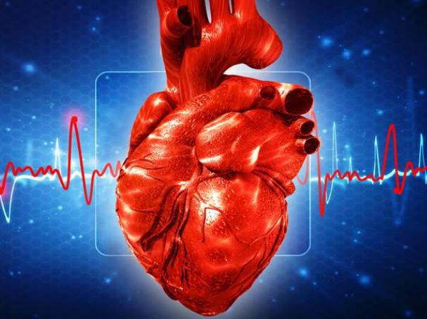 心脏病是怎么得的 瓣膜病心肌炎肥厚淀粉样变