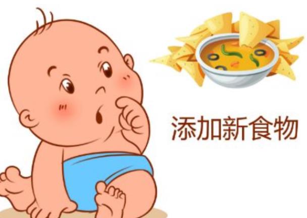 婴儿添加辅食的顺序 4—6月单品种小剂量由细到粗由少到多