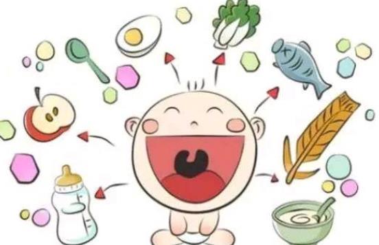 婴儿添加辅食应避免什么 高蛋白,高纤维蔬菜,海鲜等