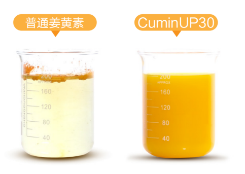 琛蓝品牌原料CuminUP30™创新姜黄素，完美展现姜黄素硬实力